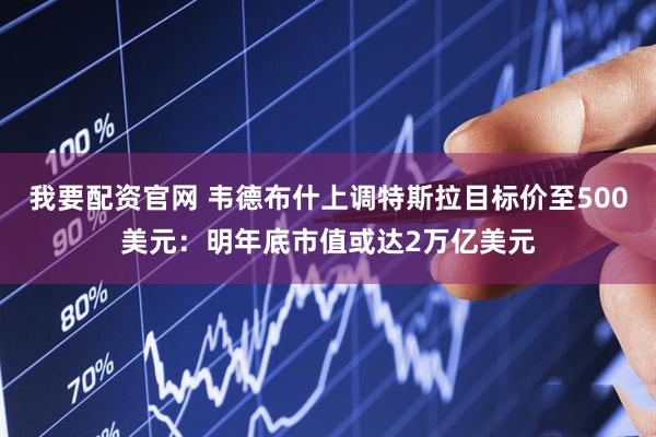 我要配资官网 韦德布什上调特斯拉目标价至500美元：明年底市值或达2万亿美元