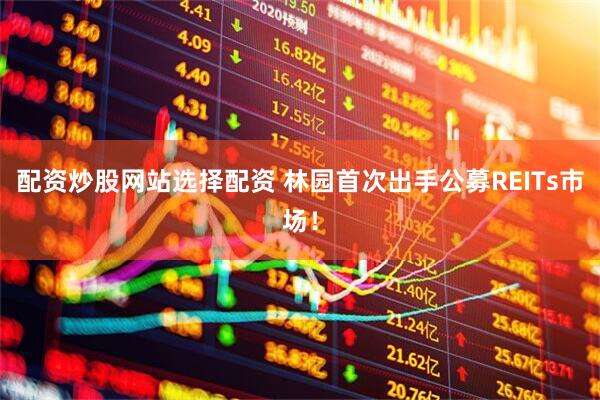 配资炒股网站选择配资 林园首次出手公募REITs市场！