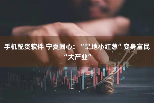 手机配资软件 宁夏同心：“旱地小红葱”变身富民“大产业”